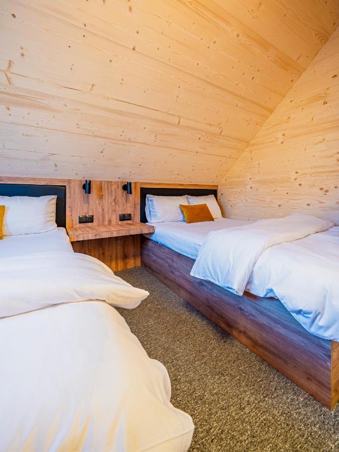 Domek alpejski Majerczyk House Poronin